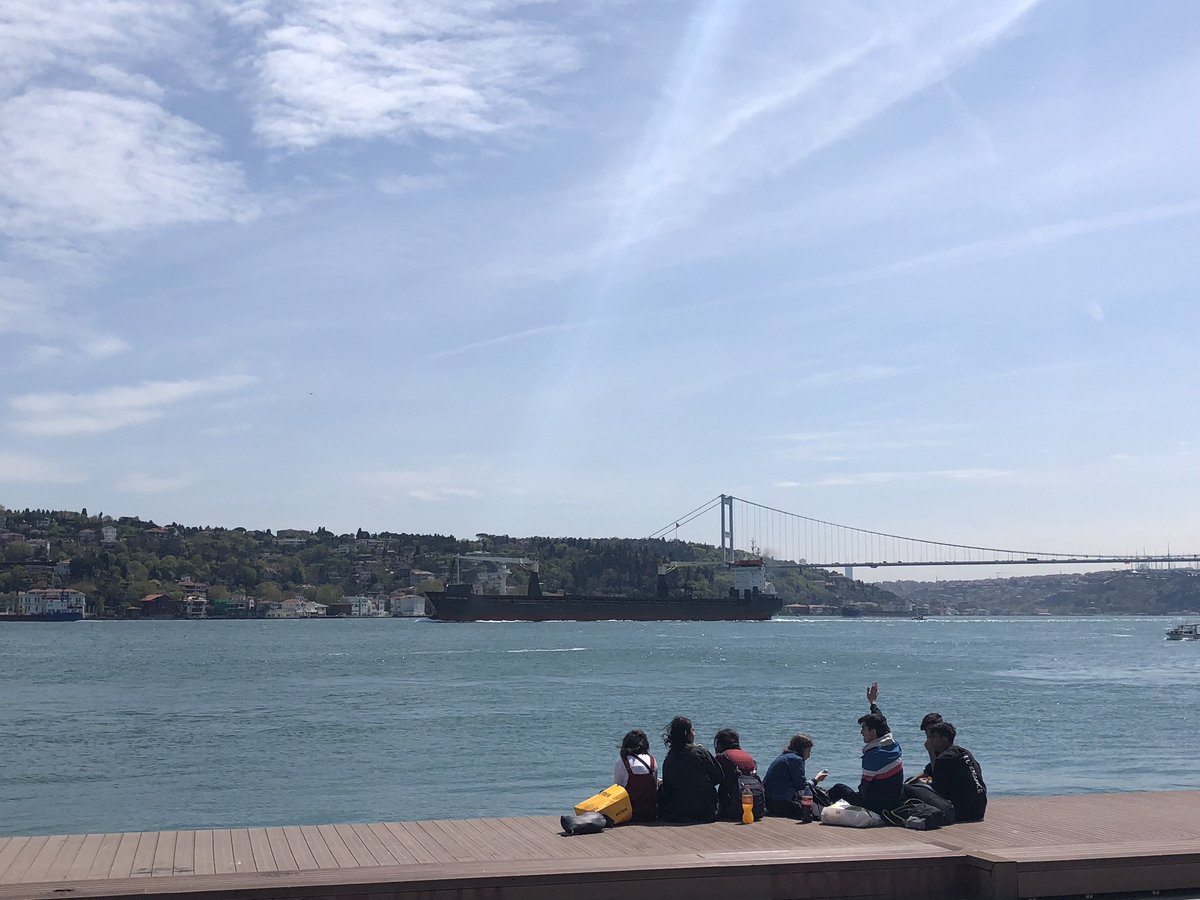 turkishavocadosu tweet media