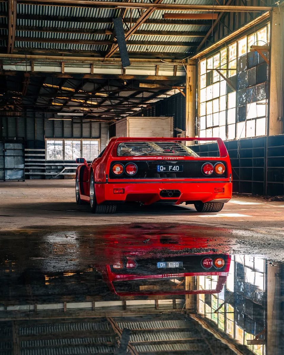 Full Throttle95 tweet media