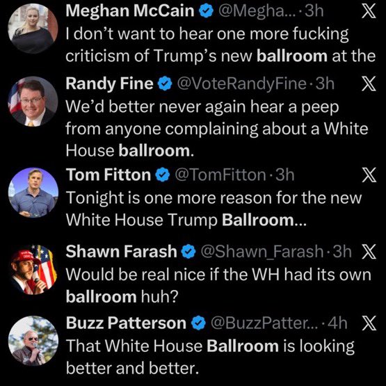 José Galindo tweet media