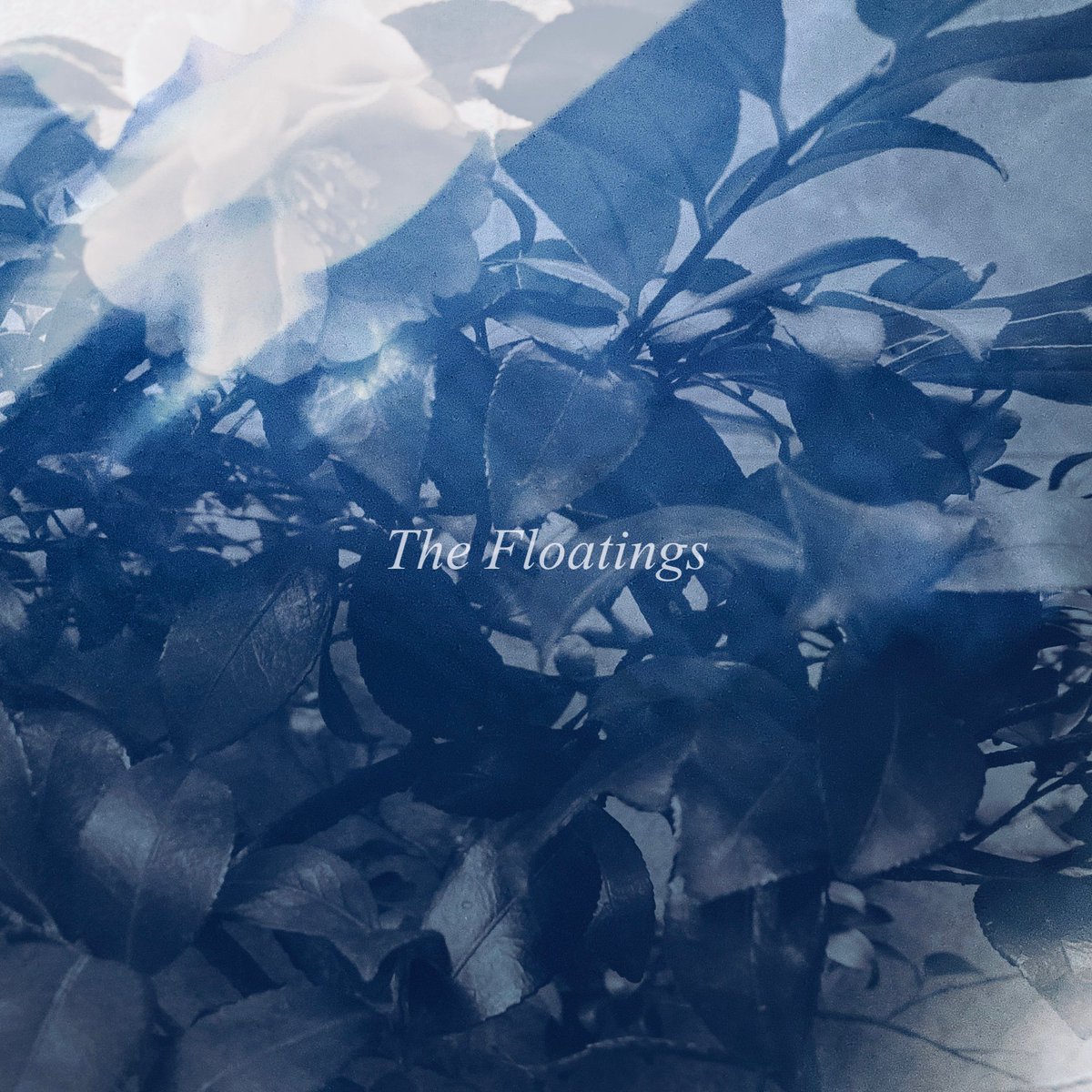 The Floatings tweet media