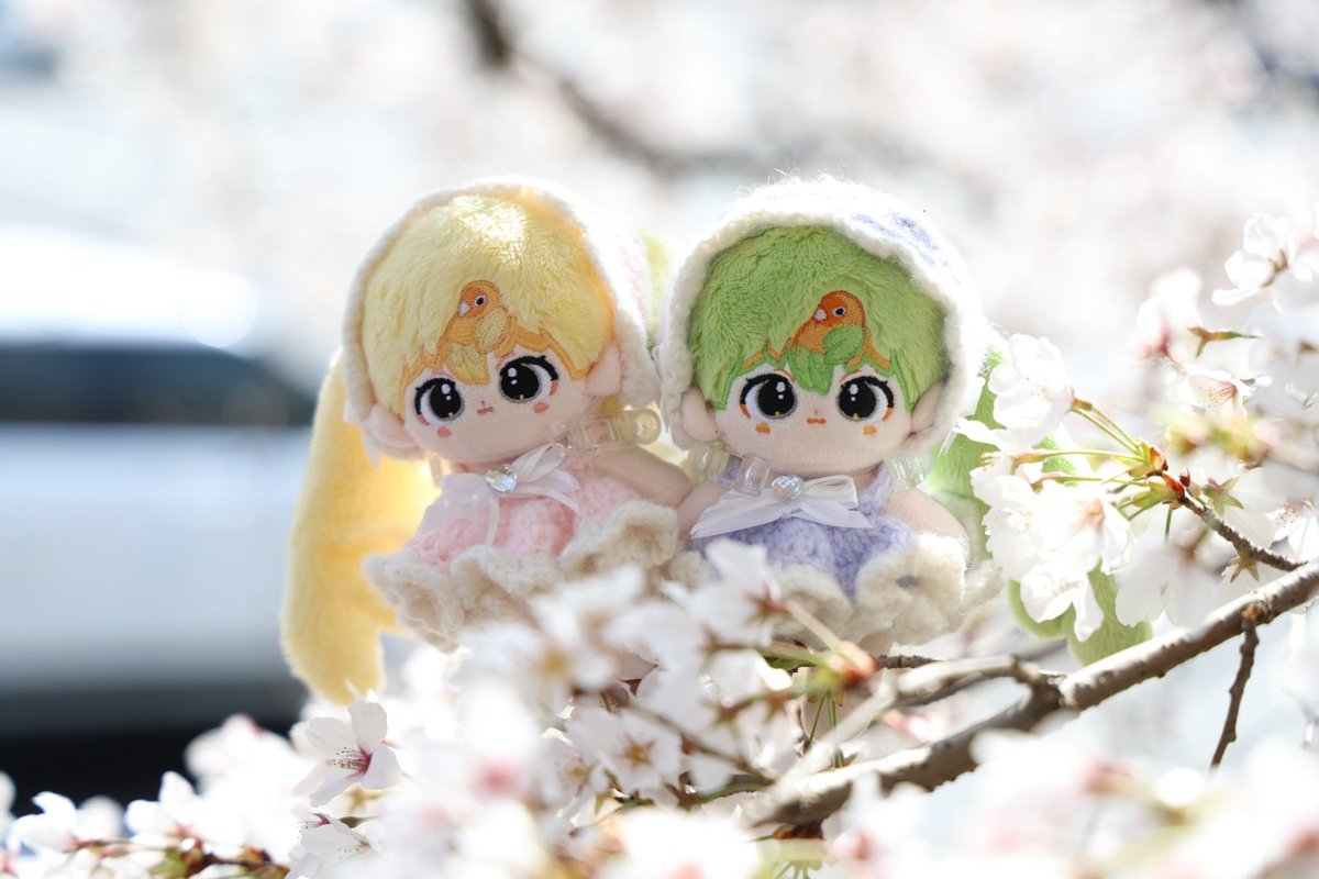 구둥이네 옷장🍠 tweet media