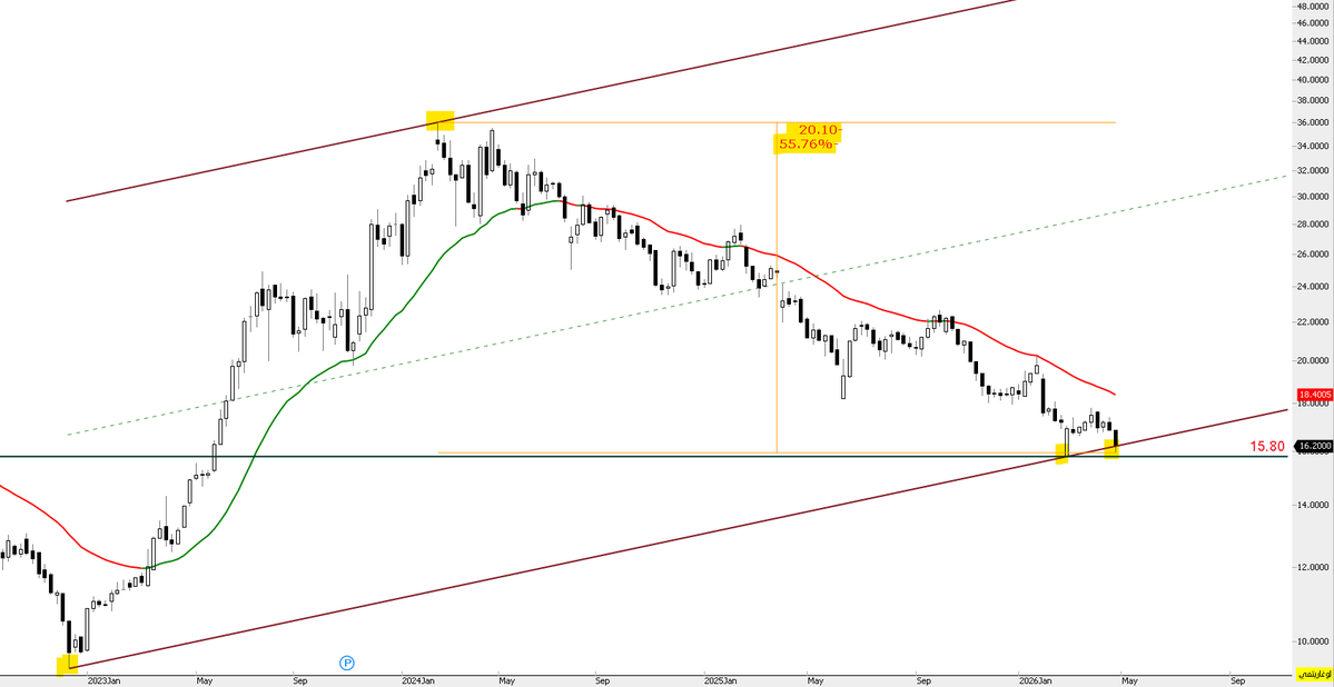 THE WOLF OF TASI ™ tweet media
