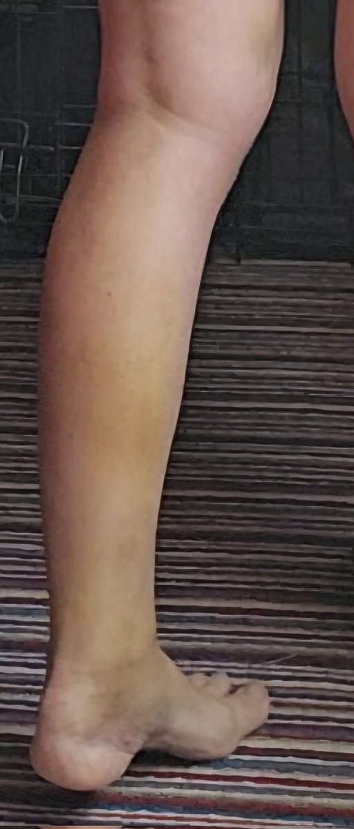 ⛰️🌳🐈‍⬛ CathArtic 🐈🐓🫖 tweet media