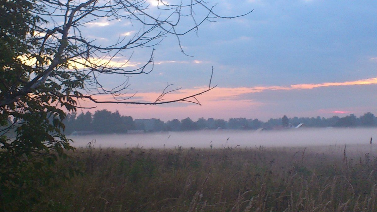 Arkanium77 tweet media