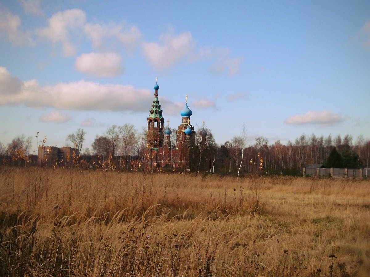 Arkanium77 tweet media