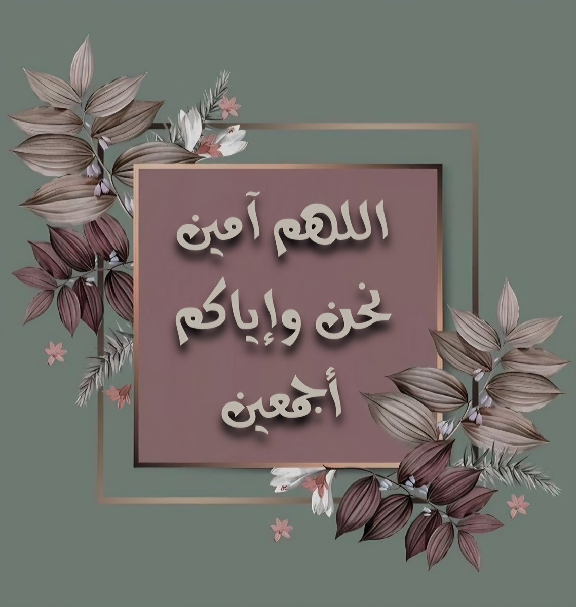 فاطِمَة صدّيقةٌ شهيدةٌ tweet media