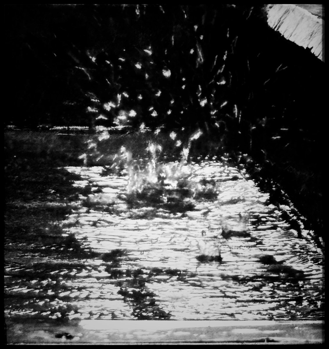 major_arcana7's tweet image. Raindrop…࿐♛

#photographer
#Monochrome
#弾ける瞬間