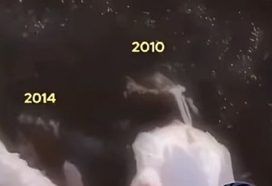 J🌟 ⚢🏳️‍⚧️ tweet media