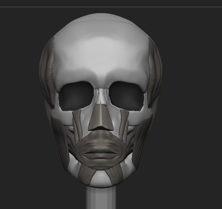 ruwind's tweet image. 鼻を追加して確認したら、口輪筋と唇が薄かったのが違和感の原因っぽかったので厚くして修正。引き続き、目周辺を追加していく。
#ZBrush