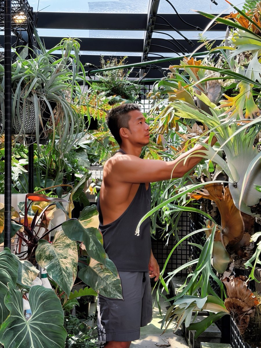 渡鴉先生 tweet media