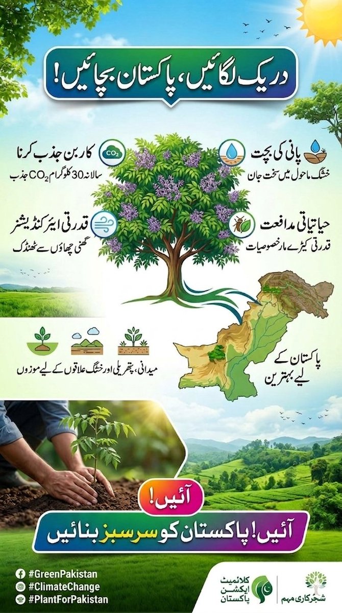 **دریک (Melia azedarach): 
تپتی دھوپ میں قدرت کا ٹھنڈا سایہ!**
کیا آپ جانتے ہیں کہ پاکستان کے بدلتے ہوئے موسموں اور بڑھتی ہوئی تپش کے لیے **"دریک"** کا درخت کسی نعمت سے کم نہیں؟ موسمیاتی تبدیلیوں اور سموگ کے اس دور میں، یہ درخت نہ صرف ہماری زمین کا محافظ ہے بلکہ فضا کو صاف رکھنے