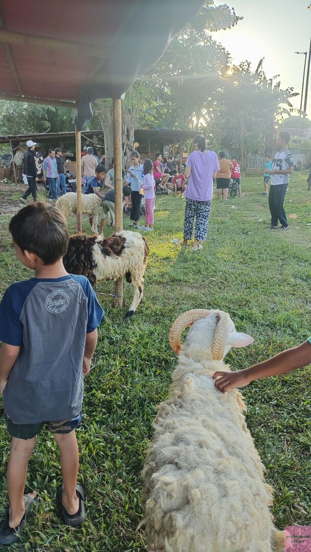 YAPPINGFESS tweet media