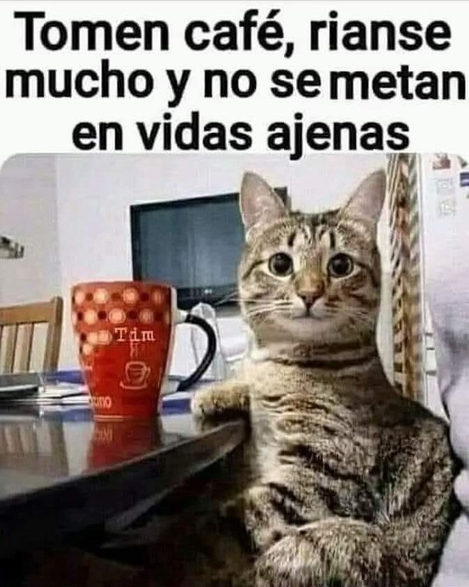 rockerosvip's tweet image. #domingofamiliar  #buenosdias #elchistesecuentasolo #elqueentendioentendio  #viral @seguidores

ESCUCHA NUESTRA RADIO Aqui 👉 buff.ly/0XChhst
