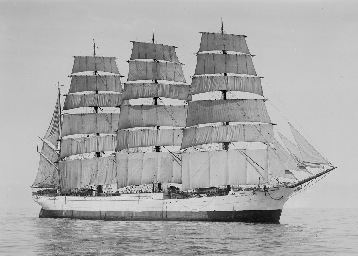J.E.G.Simmons (JegsDinoGod) tweet media