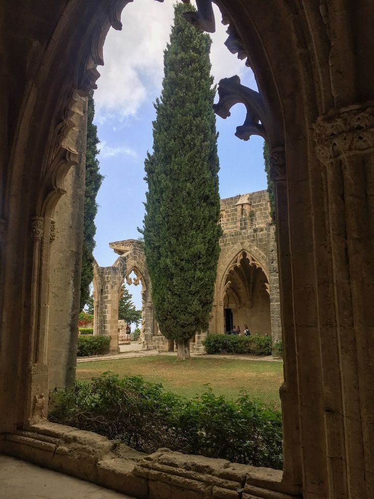 MozartCultures's tweet photo. a day in cyprus https://t.co/WYnKG6W0pm