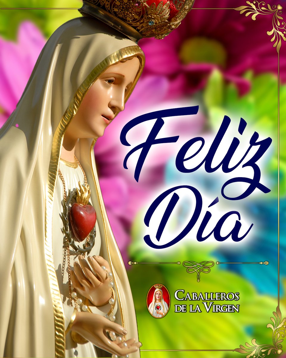 Caballeros de la Virgen tweet media