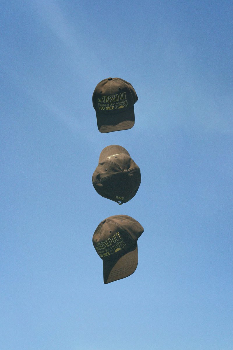 WhereIsMyCat? tweet media