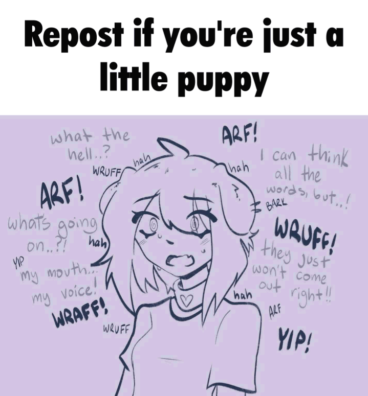 PuppyPosting__'s tweet photo. https://t.co/OVDtNugmAf