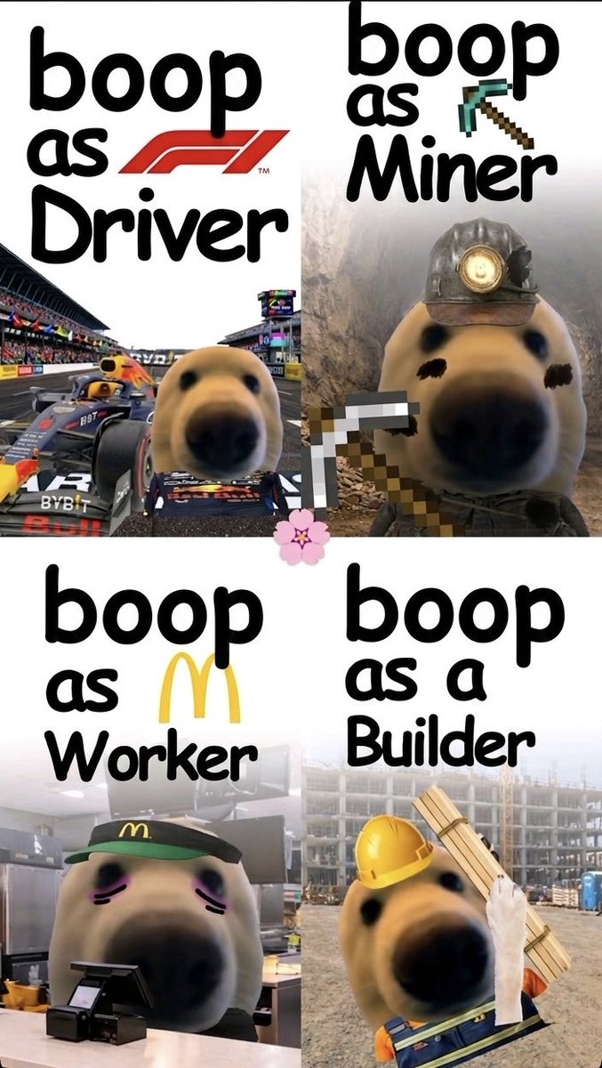 boop tweet media
