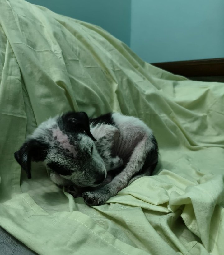 Carlos 🇺🇾 tweet media