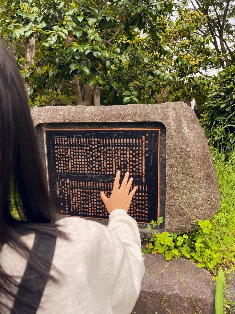 Setelah berjuang melawan kemageran akhirnya ngelihat bunga Himmel ini coy + bonus menemukan poneglyph 🗿