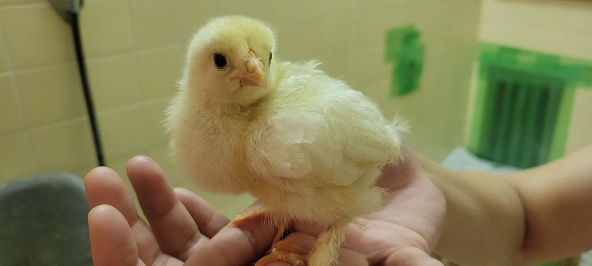 Takuya.S tweet media