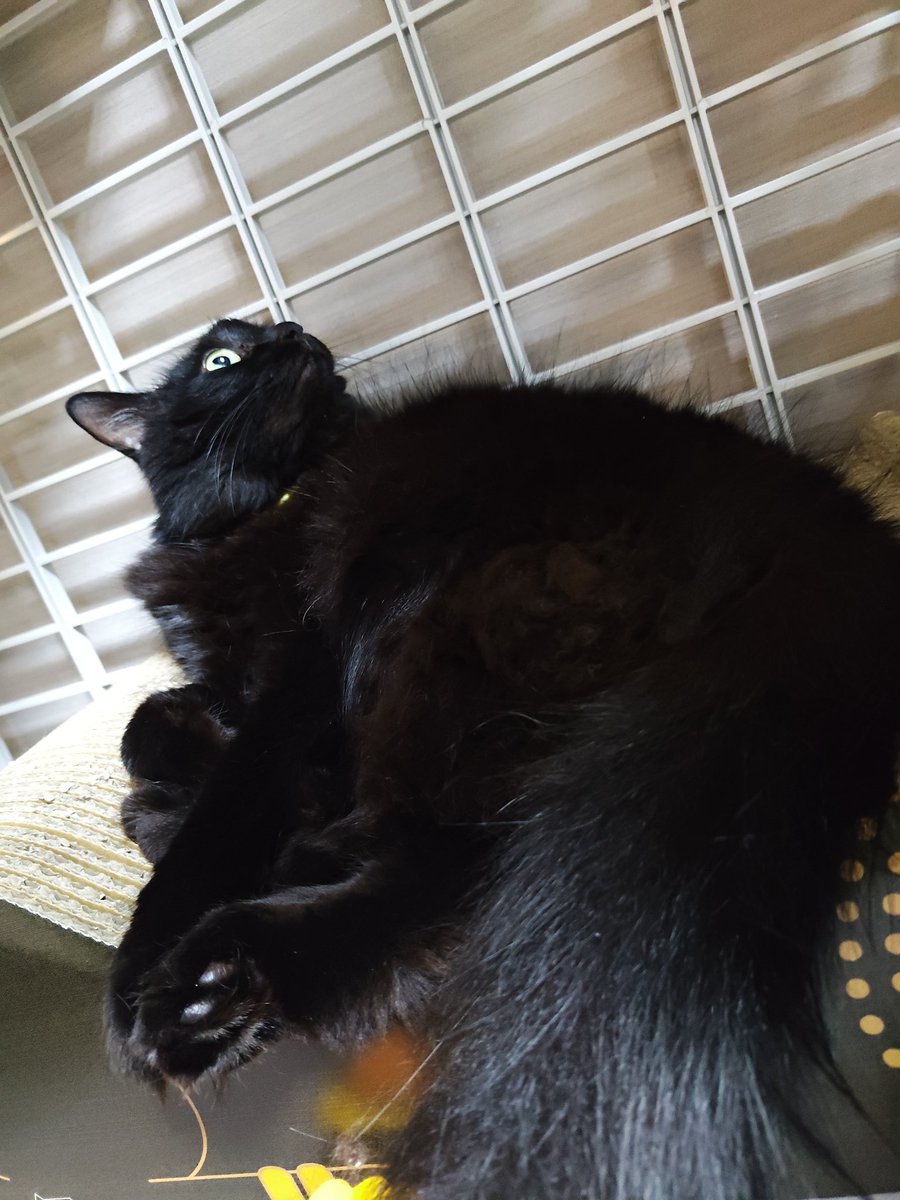 まるん tweet media