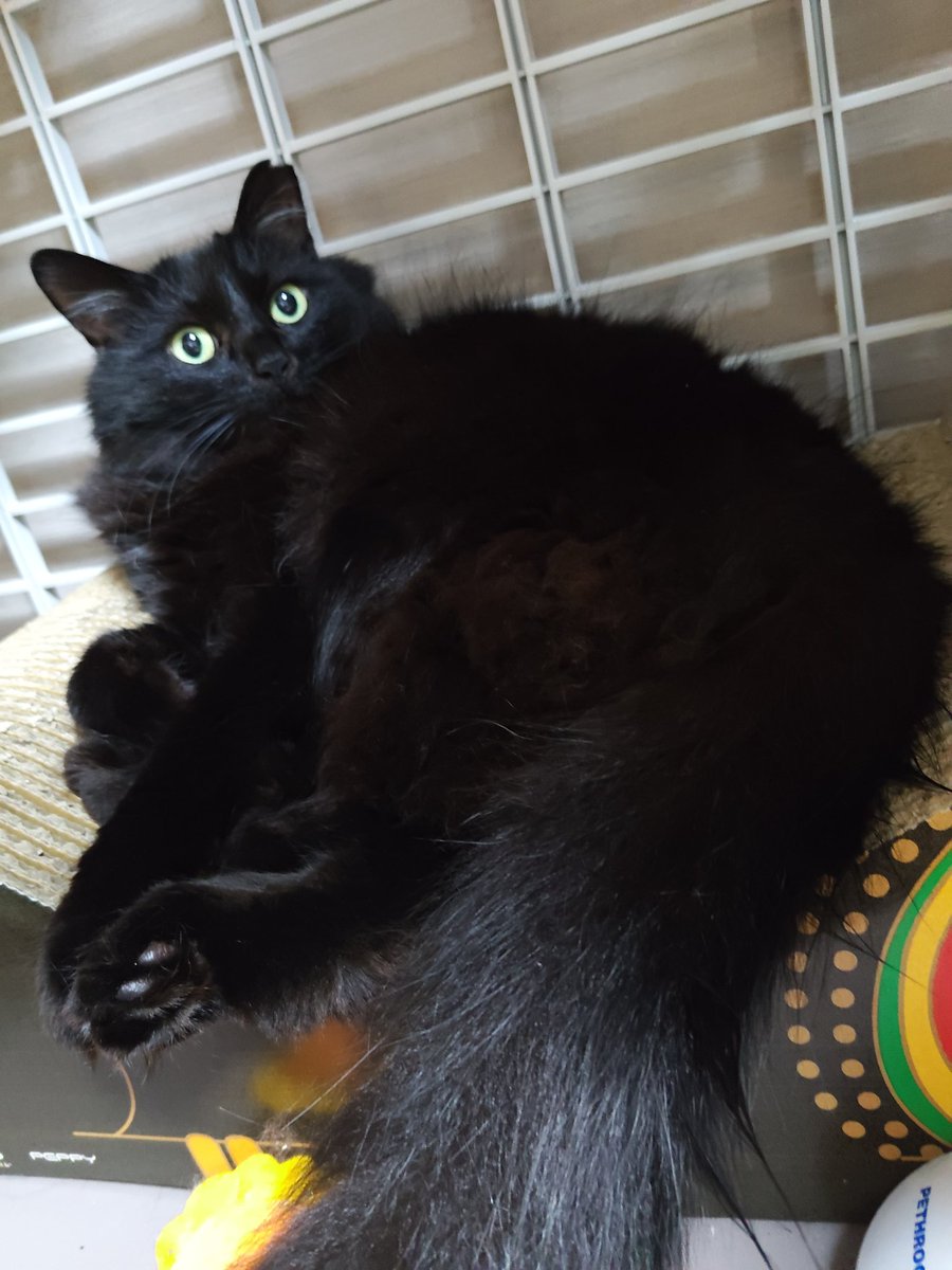 まるん tweet media