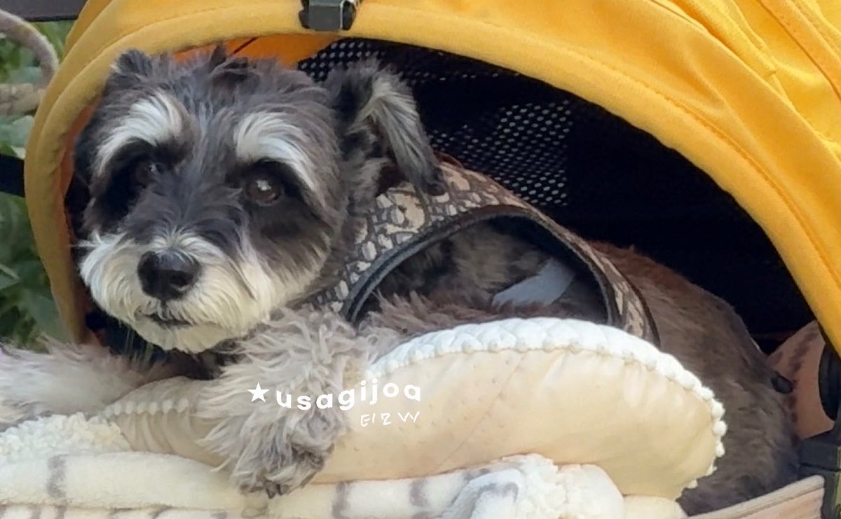 어머님한테 지훈이가 해준 요리 드셔보셨냐구 여쭤봤는데

: 맛없어요 못 먹어요 못 먹어 👋🏻

헉.. 요리 배운 후에도 드셔보셨어요 ..?

: 안돼안돼안돼 못 먹어요 맛없어요 🫨 👋🏻