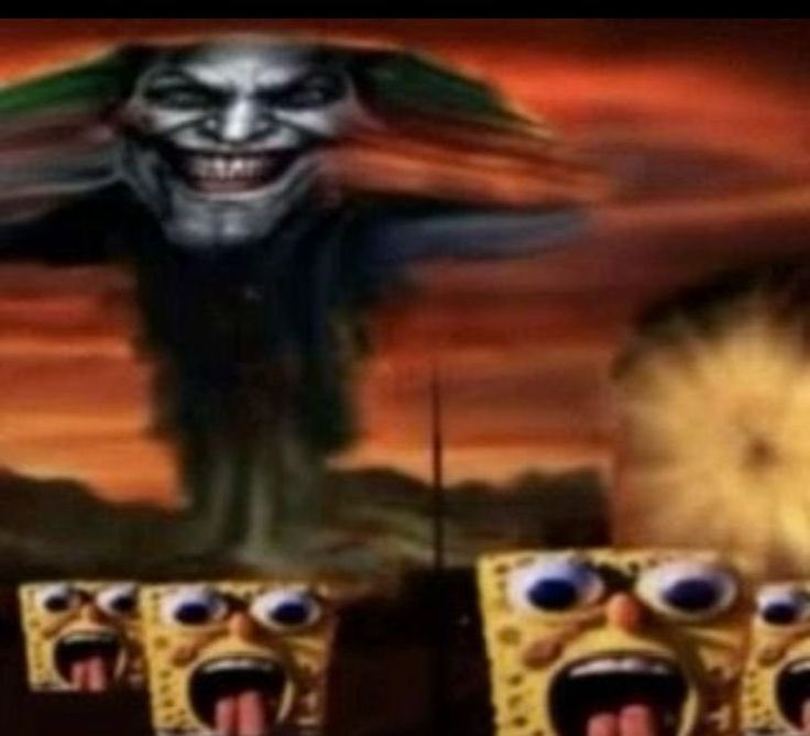 fernanda tweet media