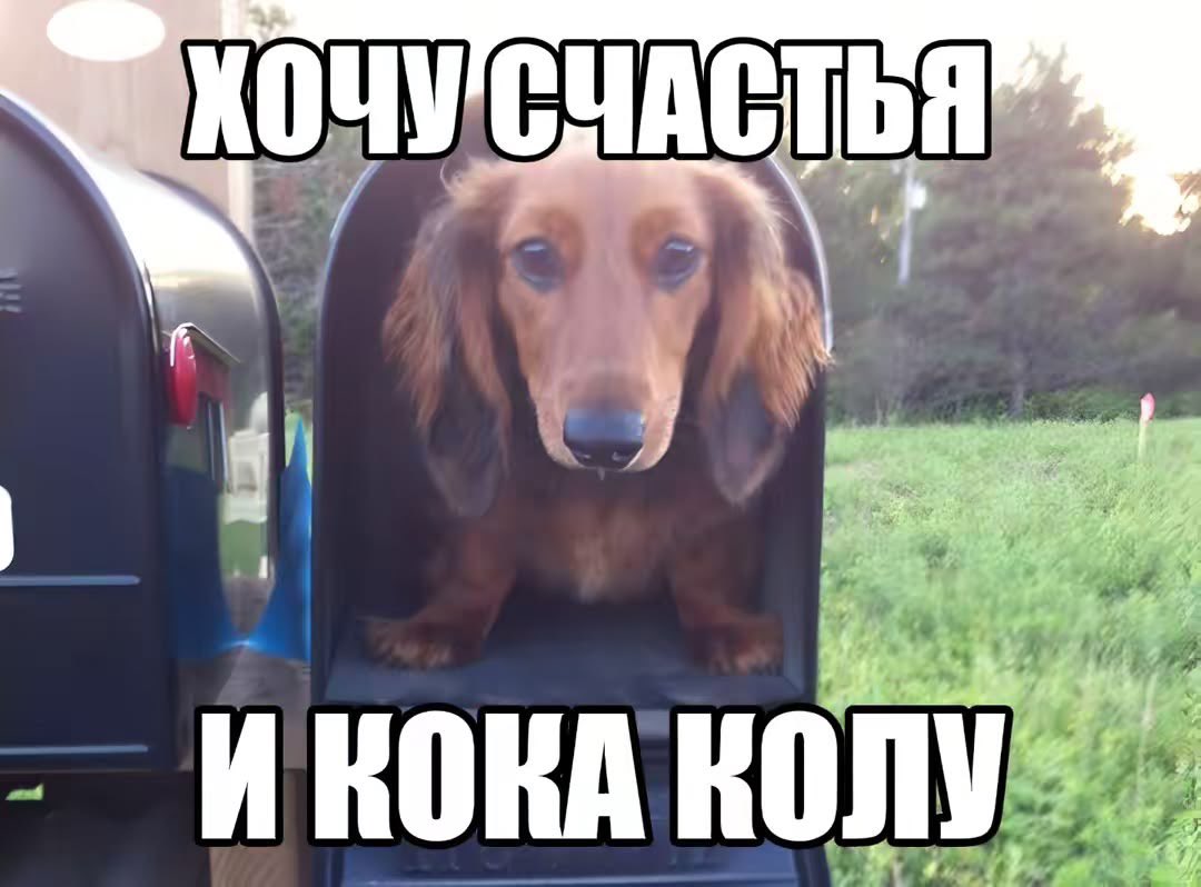 киса (@wqqolly) on Twitter photo 
