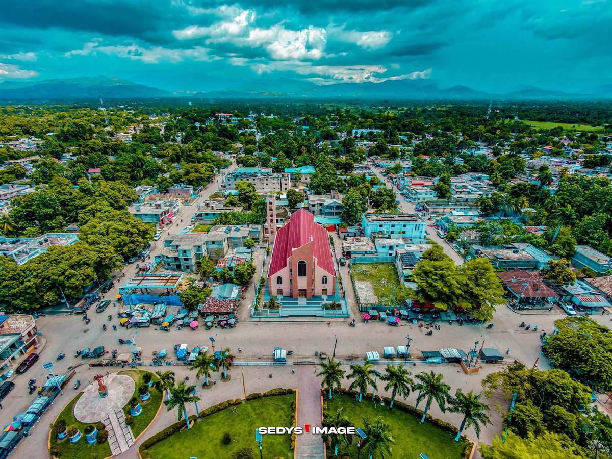 Nelson_promo 𓃵 📌 tweet media