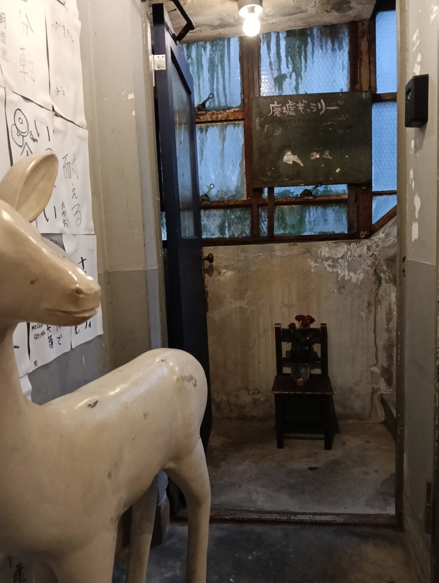 まさくんのりちゃん tweet media