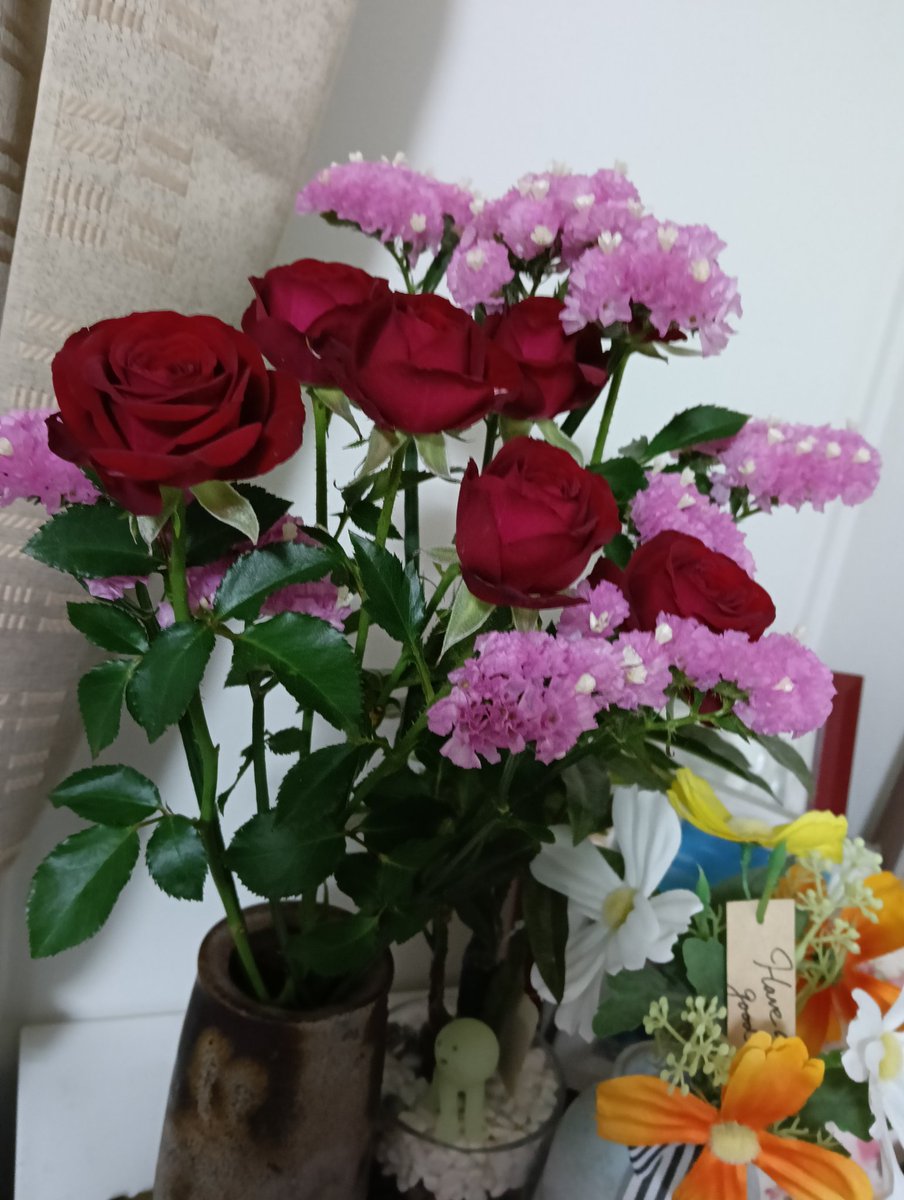 まさくんのりちゃん tweet media