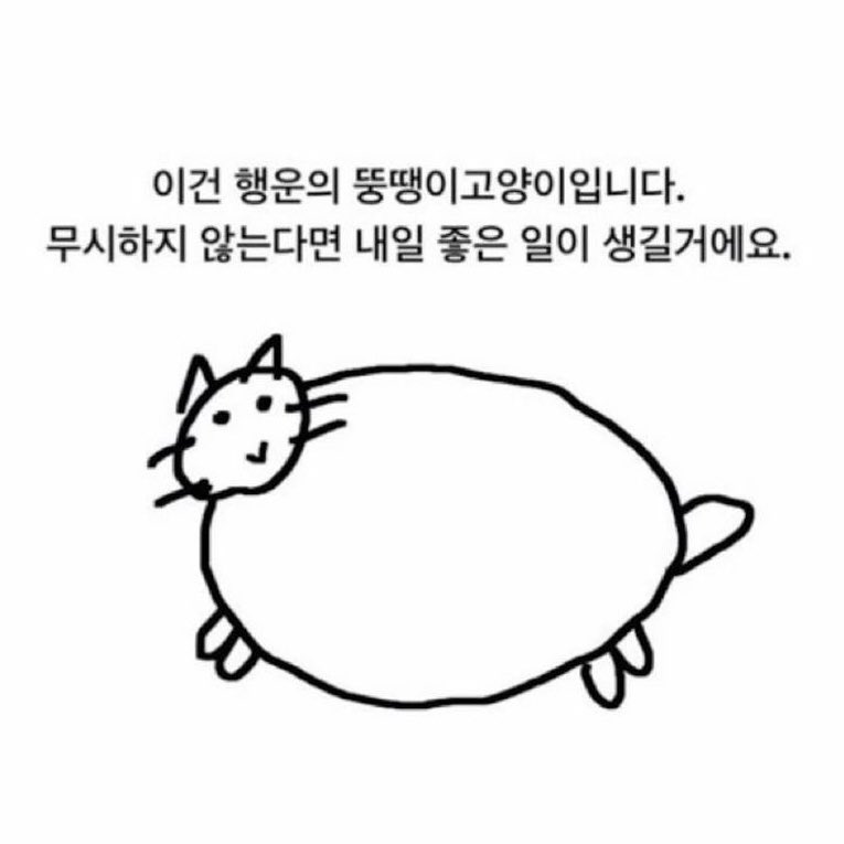 호빵이 tweet media