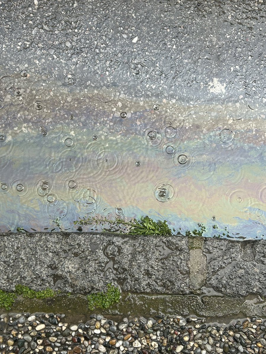 ⋆.˚efsy˚.⋆🎗️ tweet media