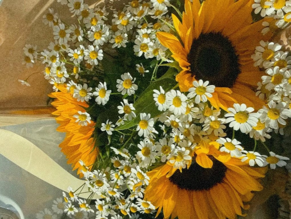 leen 🌻 tweet media