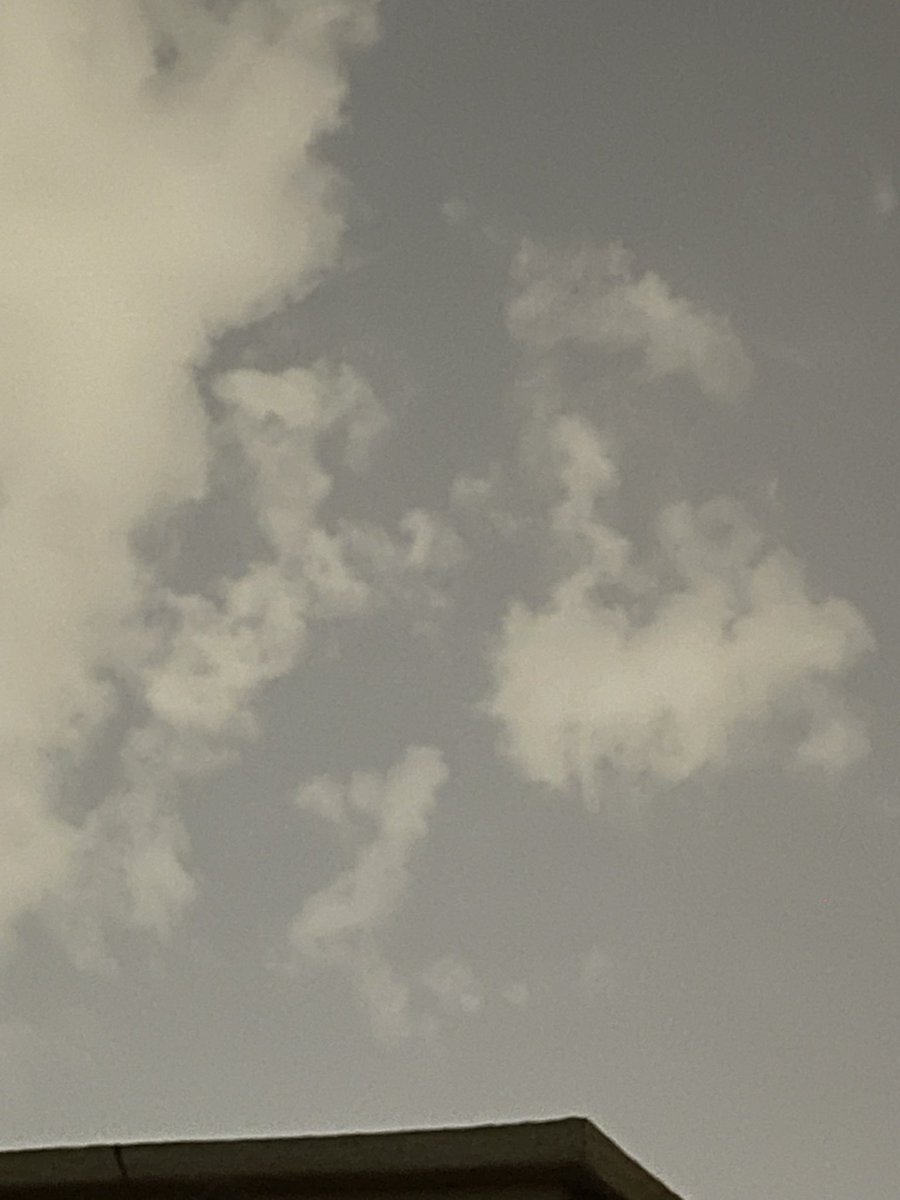 حسناء محمد tweet media