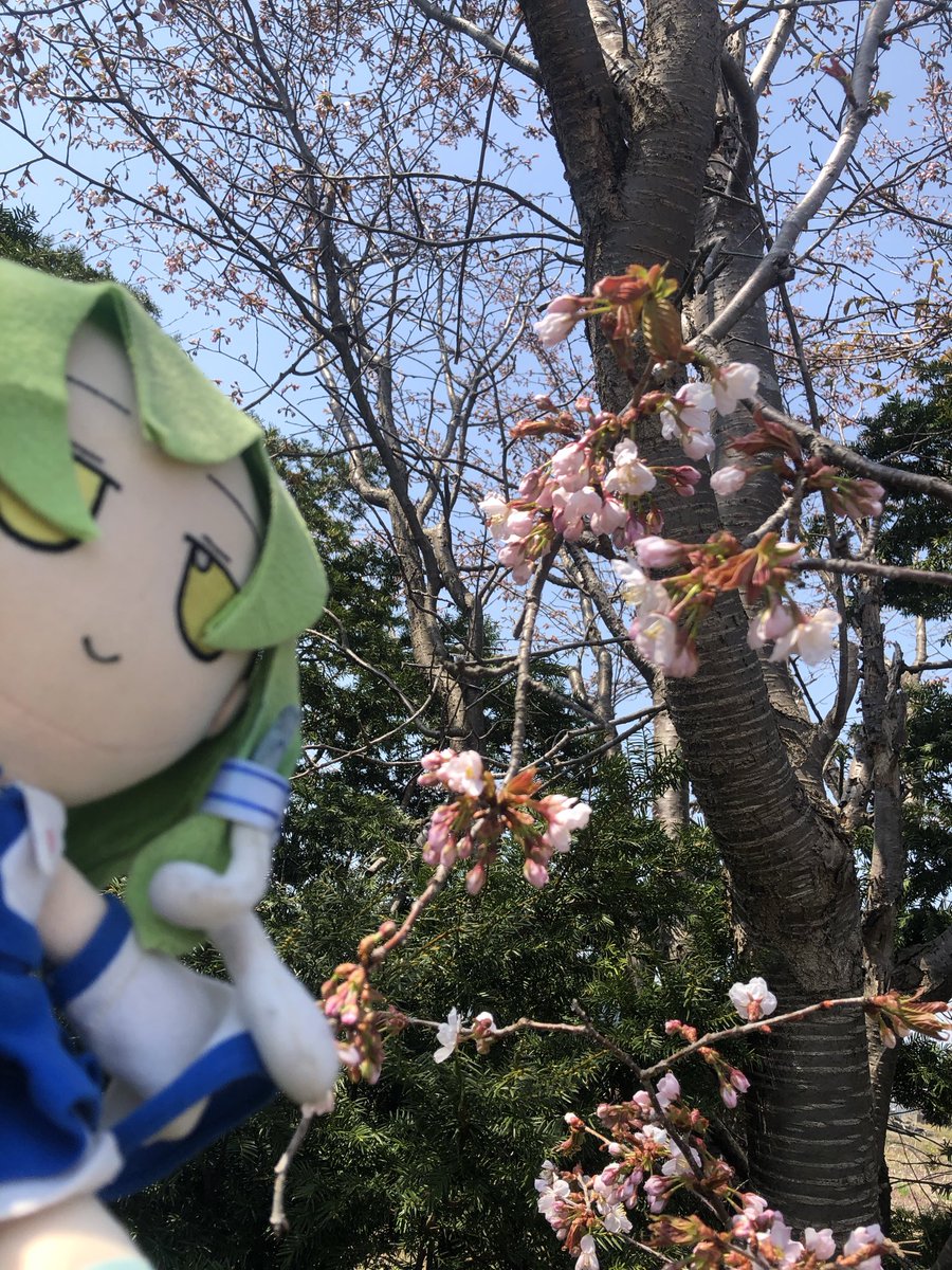 半角斎ねぎとろのすけ tweet media