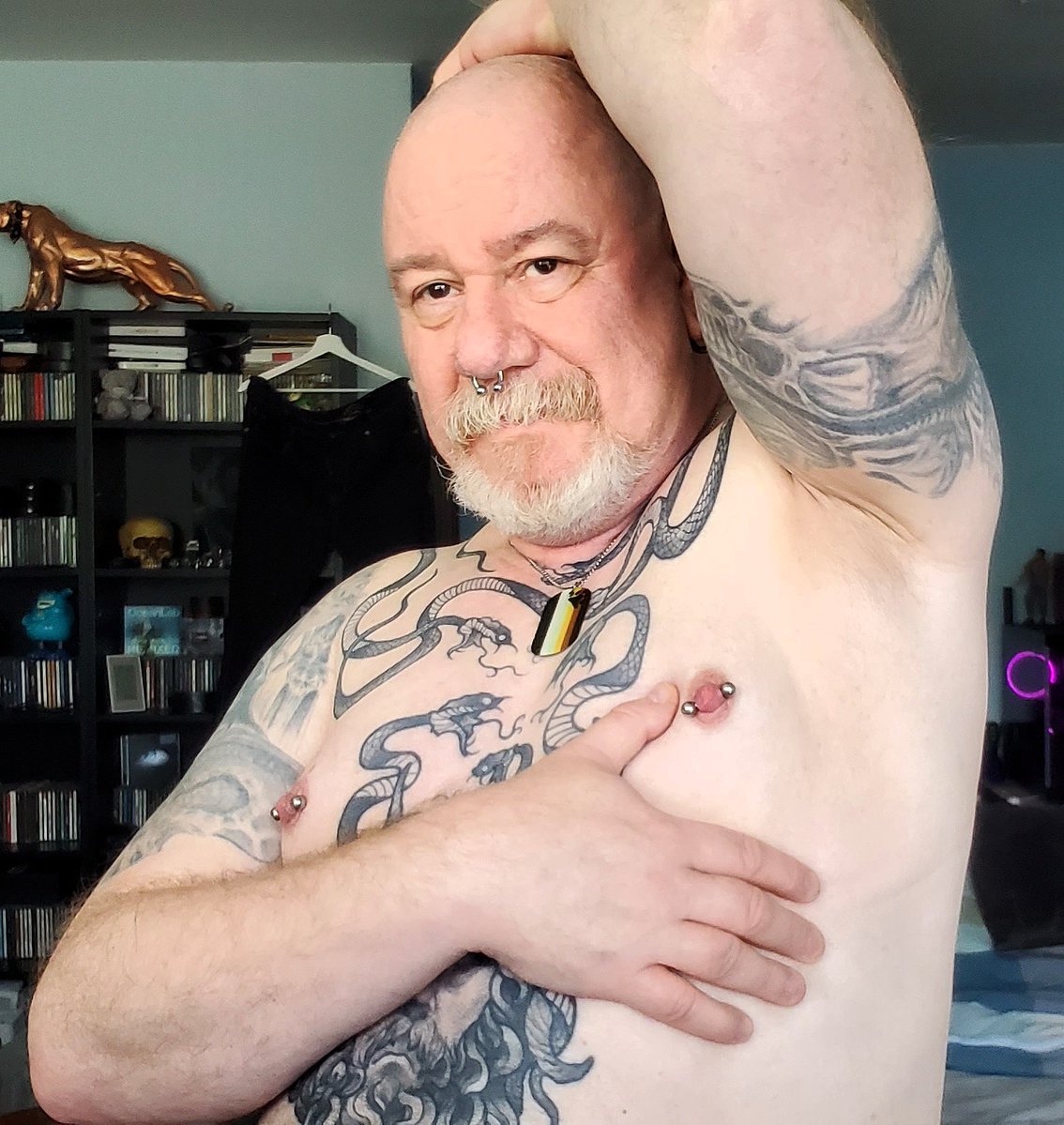 GingerBear tweet media