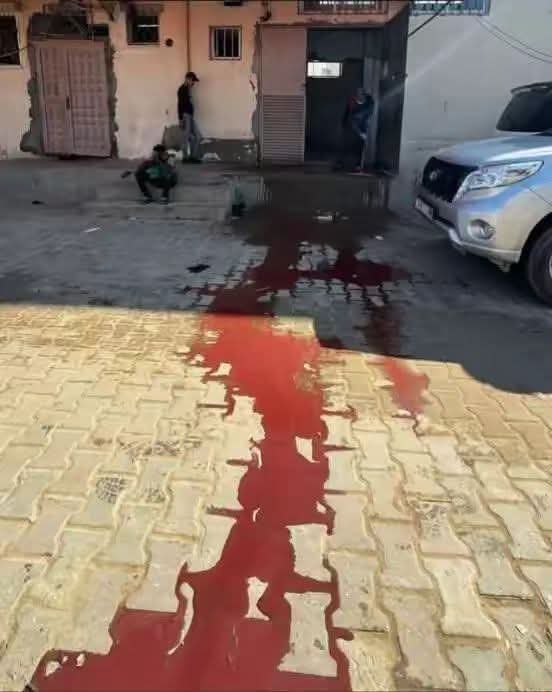 Mohanad_Alaidy's tweet photo. العرب تظن أن هناك شيئاً يسمى بالهدنة في محيط غزة فـ تنام اعينهم بلا شعور بالذنب ( بعد اكثر من 700يوم من الحرب) ، و الواقع الذي يتجاهله الجميع هو انه لا توجد اي هدنة على الاطلاق .. و انما اهلنا و اخواننا يُقتلون دوما ، فكل يوم يرتقي شهيد جديد و في قلبه حزن كبير على امة خذلته ..
ستسألون فردا فردا ماذا قدمتم وهل فعلتم شيئا ولو بسيط لنصرة اخوانكم بنية خالصة .. 
و اني لو تكلم عن ما يحصل خارج غزة في الخليل و القدس و تحدثت عن السودان و لبنان و سوريا و الايغور و كل المسلمين في بقاع الارض فستعلمون حجم الجرح الذي بنا ..
والله المستعان