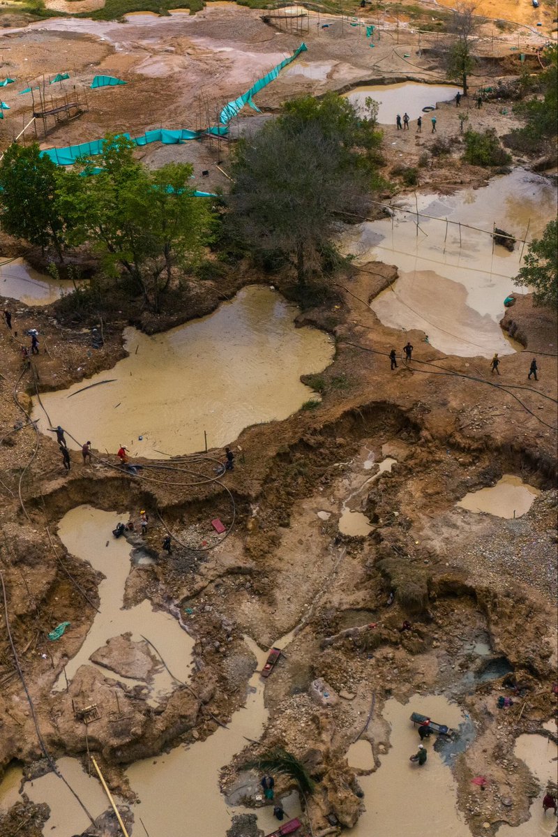 Paula Bolívar tweet media