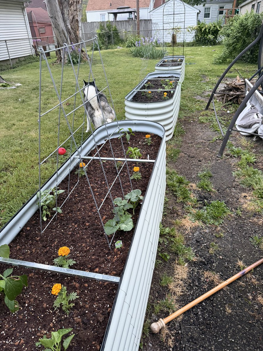 Chris E. Teigen tweet media