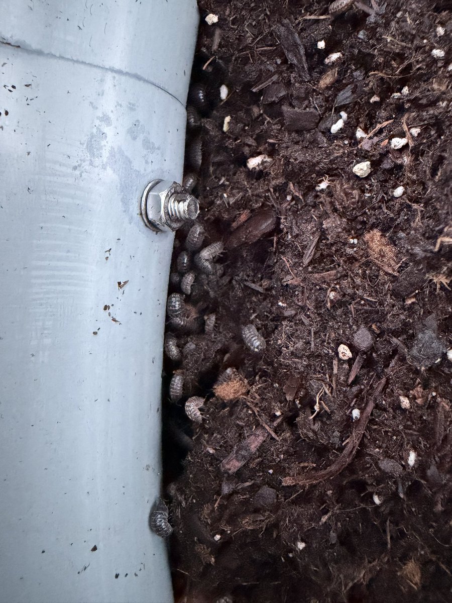 Chris E. Teigen tweet media