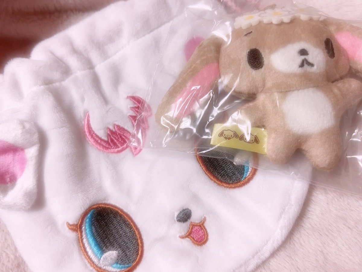 猫アレルギー tweet media