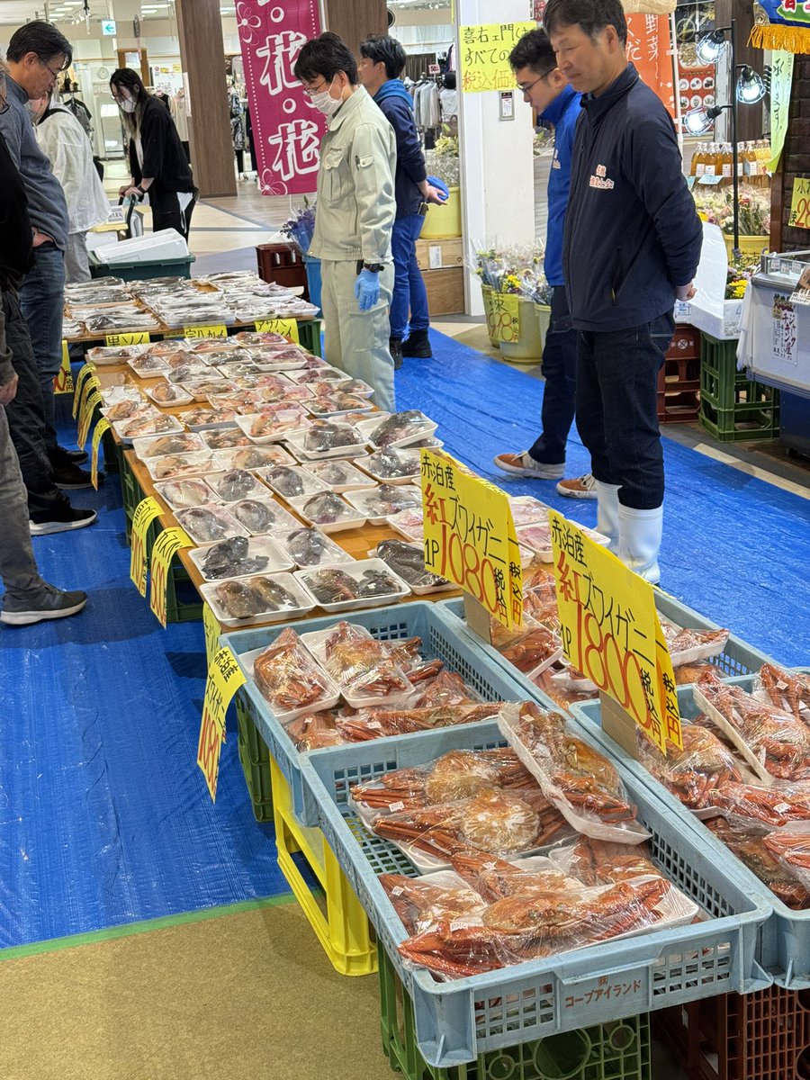 FUNA⚡︎ tweet media