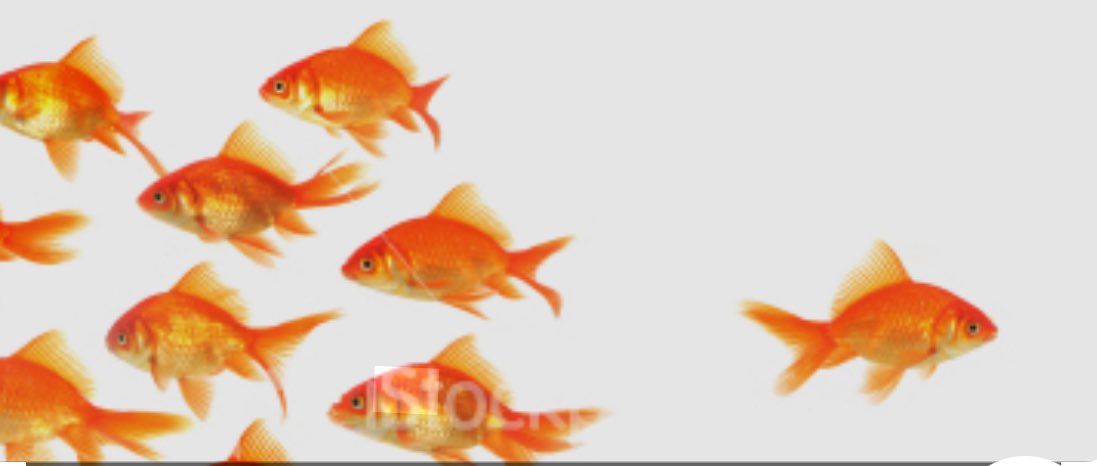 Leen Syria لين سوريا tweet media