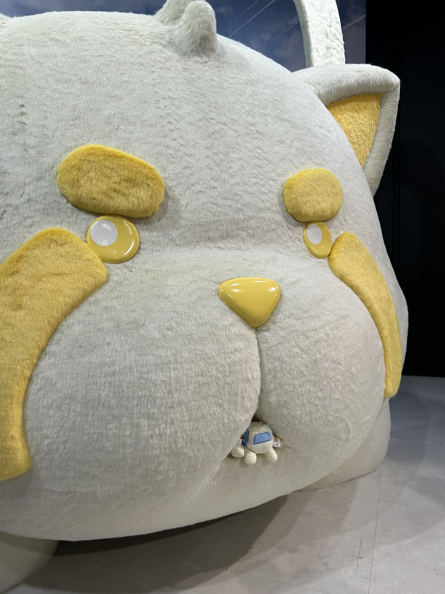 🐶🦴あぽろ tweet media