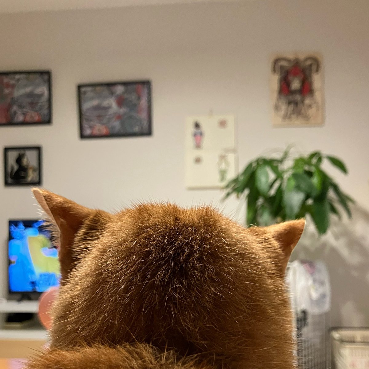 かわいい