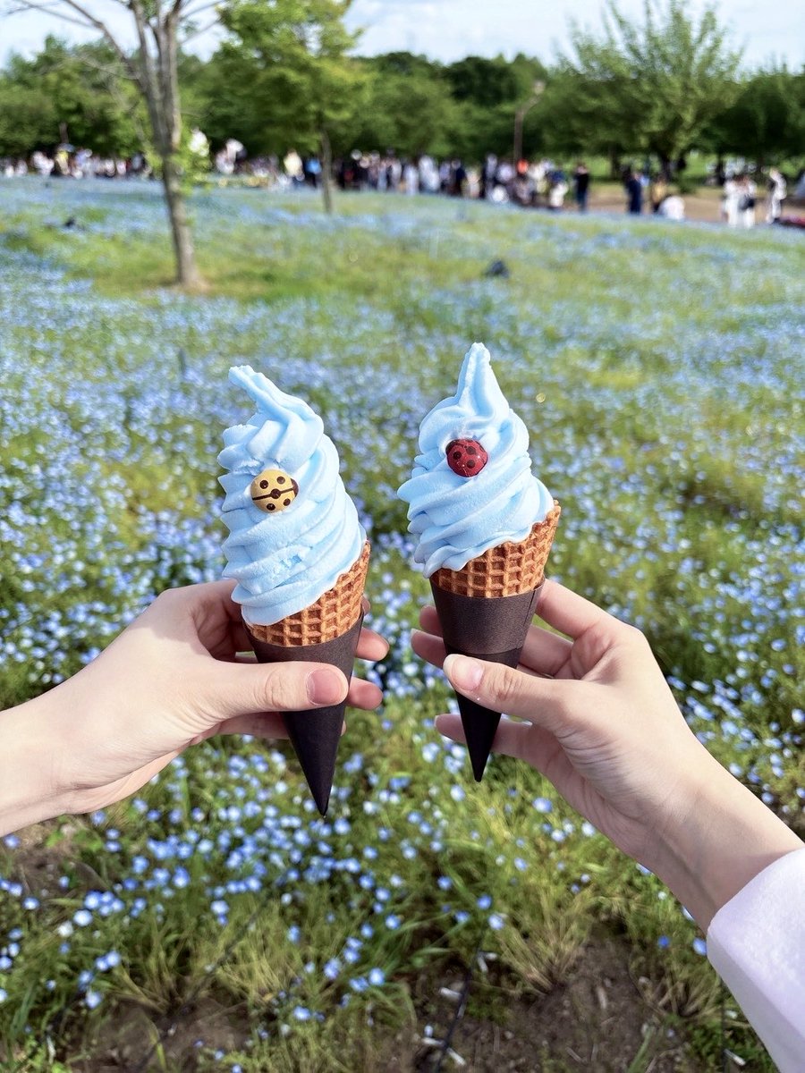 透明くりあ【iON!】 tweet media